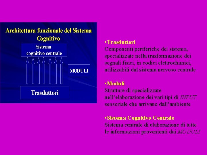  • Trasduttori Componenti periferiche del sistema, specializzate nella trasformazione dei segnali fisici, in