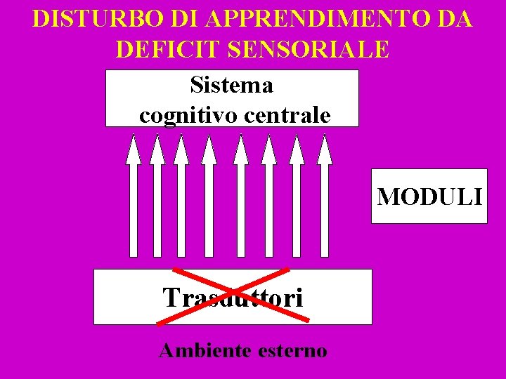 DISTURBO DI APPRENDIMENTO DA DEFICIT SENSORIALE Sistema cognitivo centrale MODULI Trasduttori Ambiente esterno 