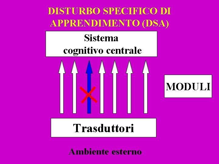 DISTURBO SPECIFICO DI APPRENDIMENTO (DSA) Sistema cognitivo centrale MODULI Trasduttori Ambiente esterno 