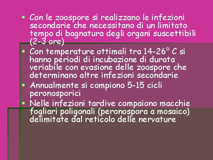 Con le zoospore si realizzano le infezioni secondarie che necessitano di un limitato Con le zoospore si realizzano le infezioni secondarie che necessitano di un limitato
