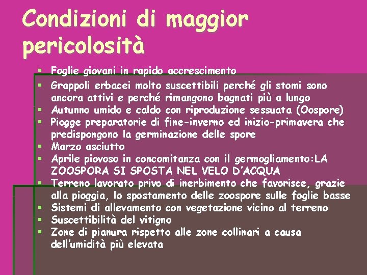 Condizioni di maggior pericolosità Foglie giovani in rapido accrescimento Grappoli erbacei molto suscettibili perché Condizioni di maggior pericolosità Foglie giovani in rapido accrescimento Grappoli erbacei molto suscettibili perché