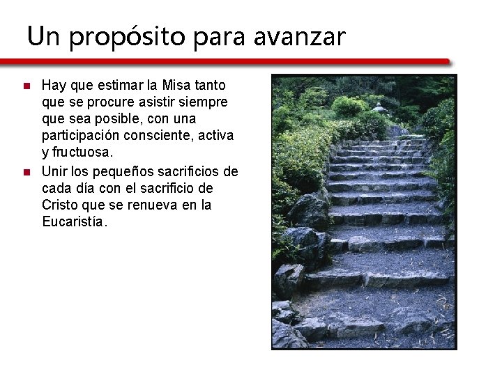 Un propósito para avanzar n n Hay que estimar la Misa tanto que se Un propósito para avanzar n n Hay que estimar la Misa tanto que se