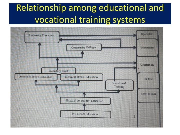 Relationship among educational and vocational training systems 
