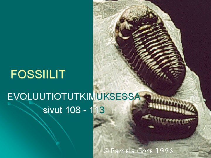 FOSSIILIT EVOLUUTIOTUTKIMUKSESSA sivut 108 - 113 