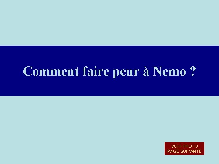 Comment faire peur à Nemo ? VOIR PHOTO PAGE SUIVANTE 