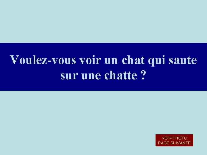 Voulez-vous voir un chat qui saute sur une chatte ? VOIR PHOTO PAGE SUIVANTE