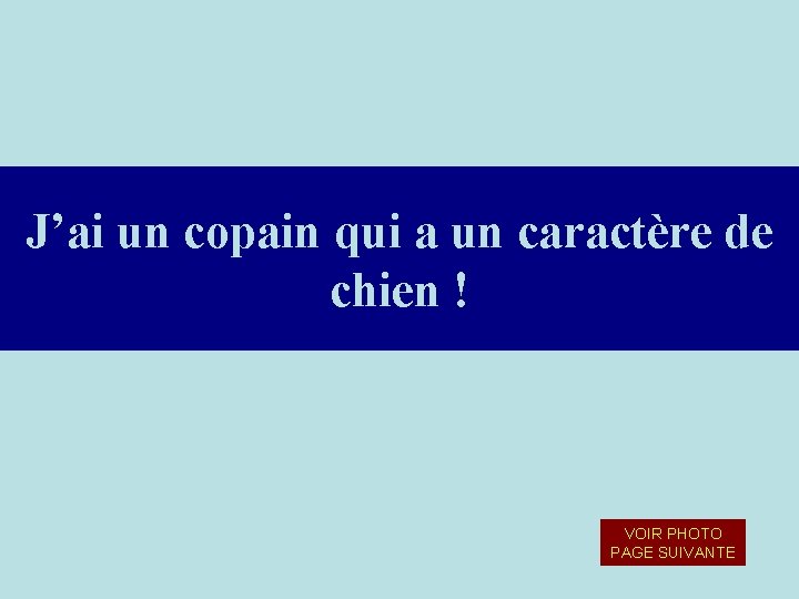 J’ai un copain qui a un caractère de chien ! VOIR PHOTO PAGE SUIVANTE