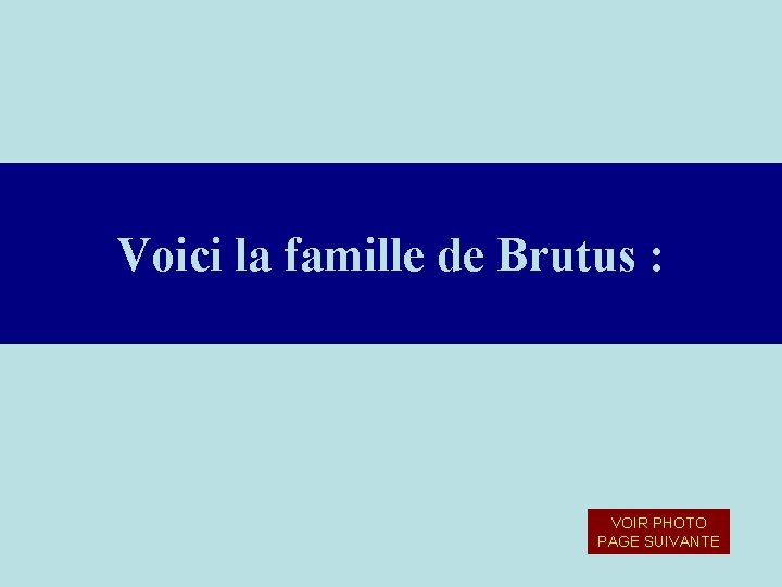 Voici la famille de Brutus : VOIR PHOTO PAGE SUIVANTE 