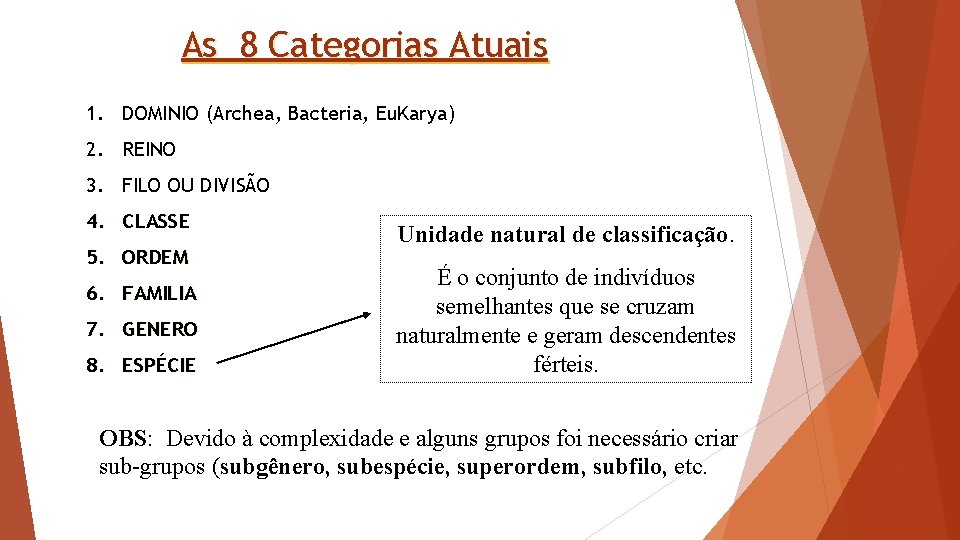 As 8 Categorias Atuais 1. DOMINIO (Archea, Bacteria, Eu. Karya) 2. REINO 3. FILO