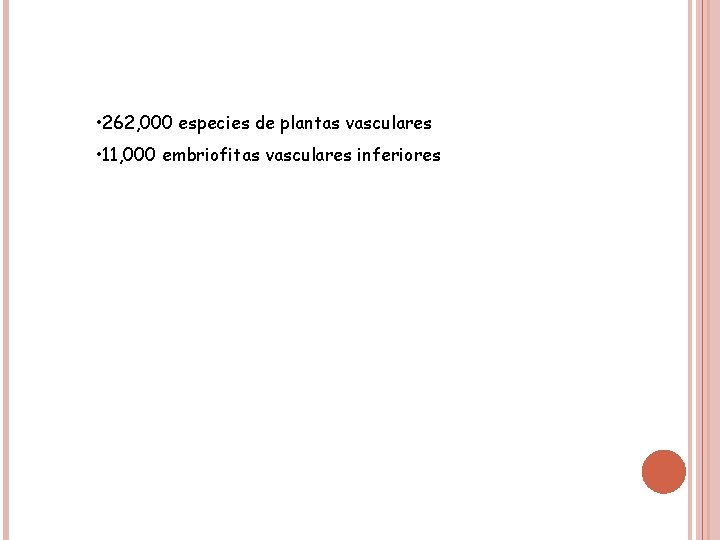  • 262, 000 especies de plantas vasculares • 11, 000 embriofitas vasculares inferiores