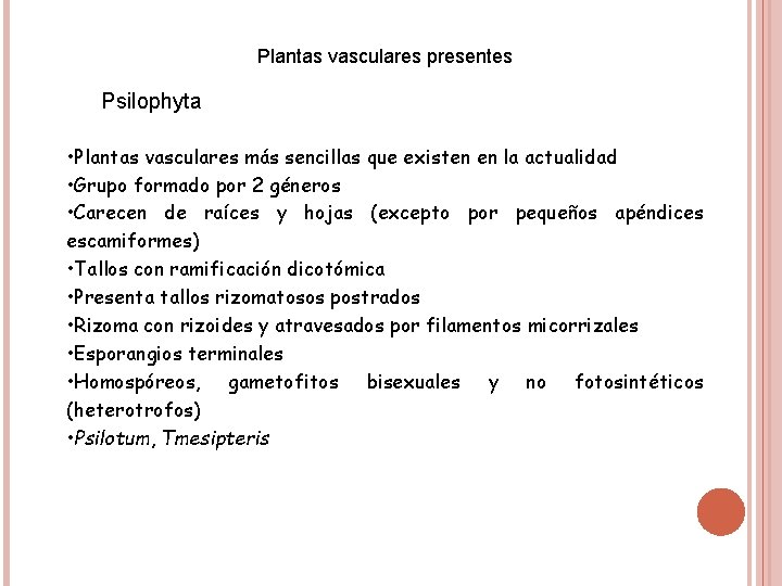 Plantas vasculares presentes Psilophyta • Plantas vasculares más sencillas que existen en la actualidad