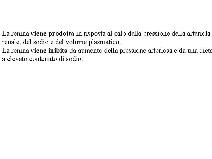 La renina viene prodotta in risposta al calo della pressione della arteriola renale, del