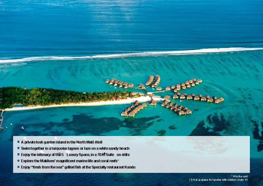 A private lush garden island in the North Malé Atoll Swim together in a