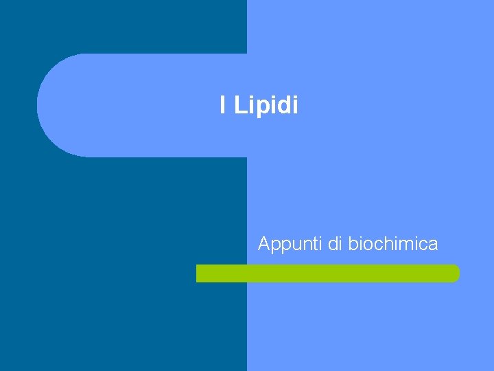 I Lipidi Appunti di biochimica 