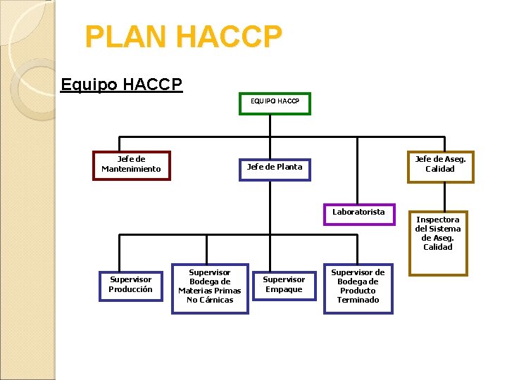 PLAN HACCP Equipo HACCP EQUIPO HACCP Jefe de Mantenimiento Jefe de Aseg. Calidad Jefe