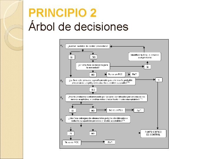 PRINCIPIO 2 Árbol de decisiones 