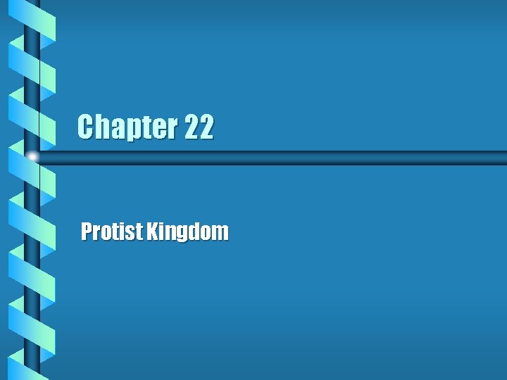 Chapter 22 Protist Kingdom 