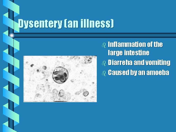 Dysentery (an illness) b Inflammation of the large intestine b Diarreha and vomiting b