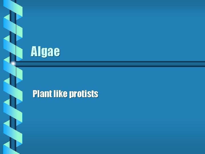 Algae Plant like protists 
