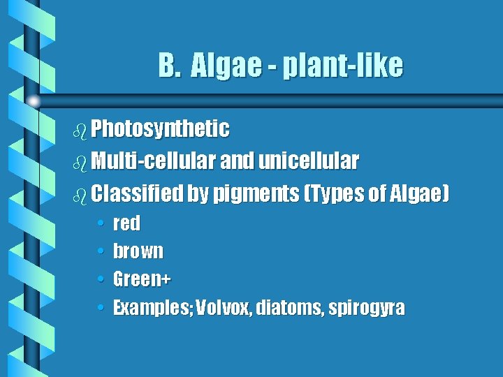 B. Algae - plant-like b Photosynthetic b Multi-cellular and unicellular b Classified by pigments