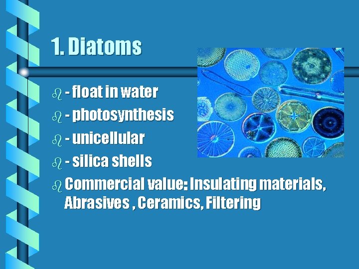 1. Diatoms b - float in water b - photosynthesis b - unicellular b