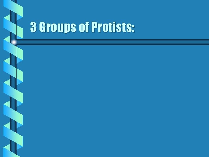 3 Groups of Protists: 