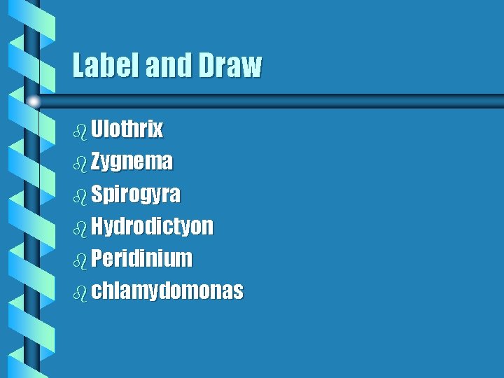 Label and Draw b Ulothrix b Zygnema b Spirogyra b Hydrodictyon b Peridinium b