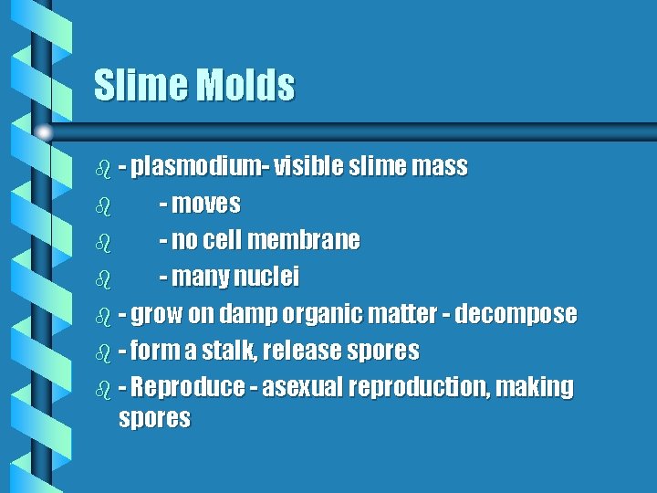Slime Molds b - plasmodium- visible slime mass - moves b - no cell