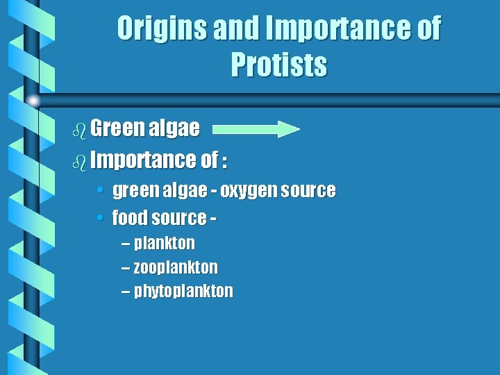 Origins and Importance of Protists b Green algae b Importance of : • •