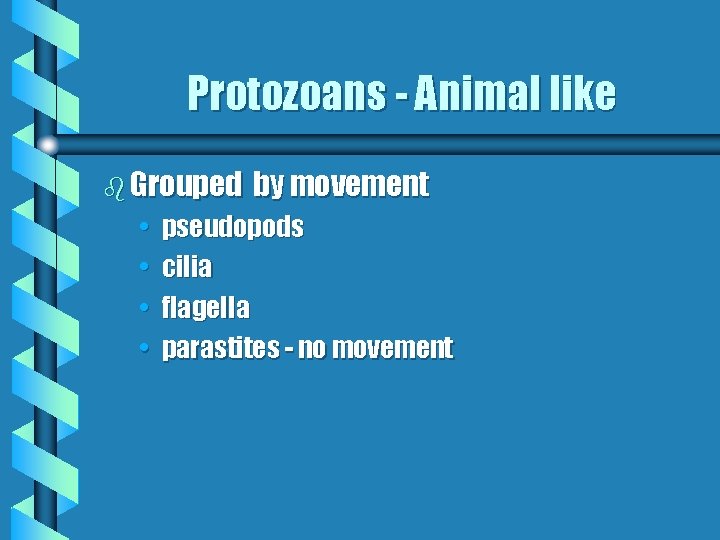 Protozoans - Animal like b Grouped • • by movement pseudopods cilia flagella parastites