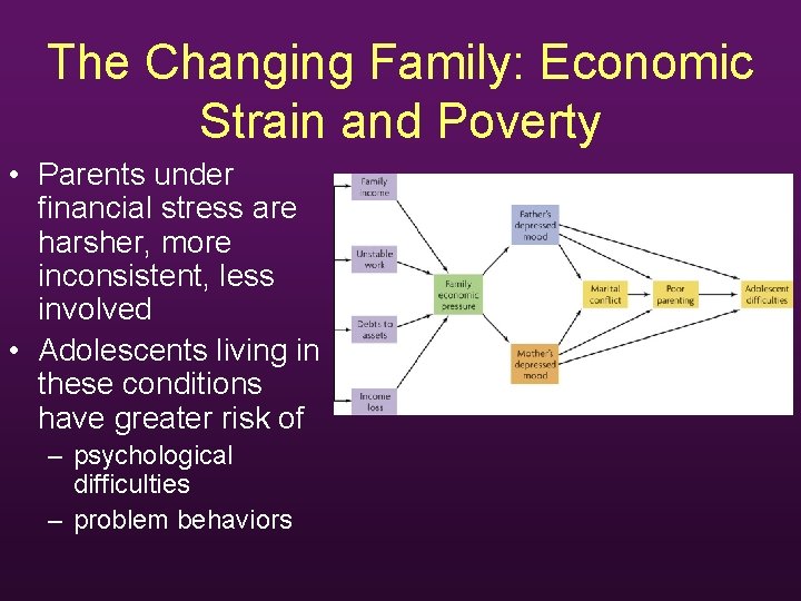 The Changing Family: Economic Strain and Poverty • Parents under financial stress are harsher,