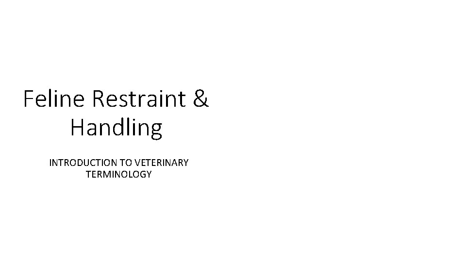 1 Feline Restraint & Handling INTRODUCTION TO VETERINARY TERMINOLOGY 