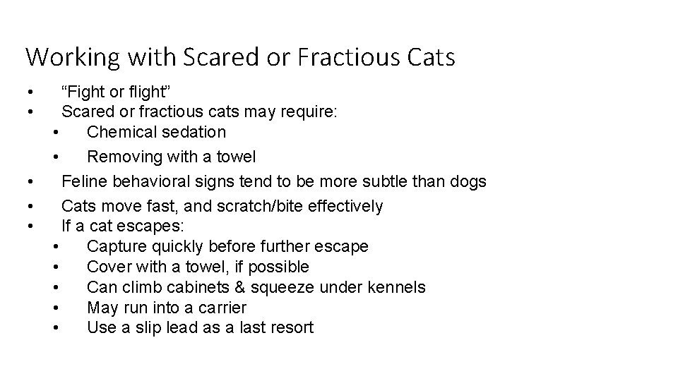 Working with Scared or Fractious Cats • • • “Fight or flight” Scared or