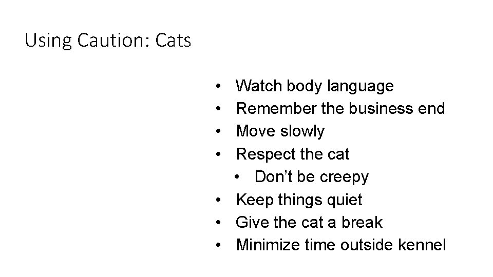 12 Using Caution: Cats • • Watch body language Remember the business end Move