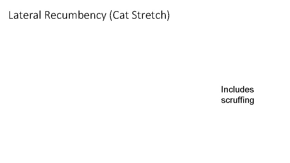 Lateral Recumbency (Cat Stretch) 18 Includes scruffing 