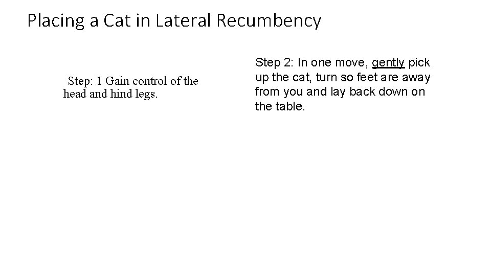 Placing a Cat in Lateral Recumbency Step: 1 Gain control of the head and