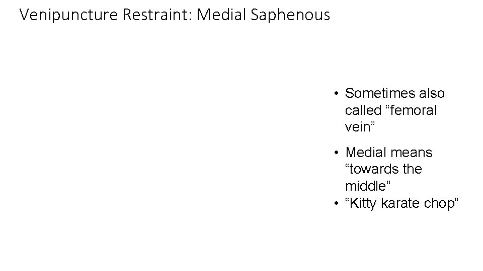 Venipuncture Restraint: Medial Saphenous 21 • Sometimes also called “femoral vein” • Medial means