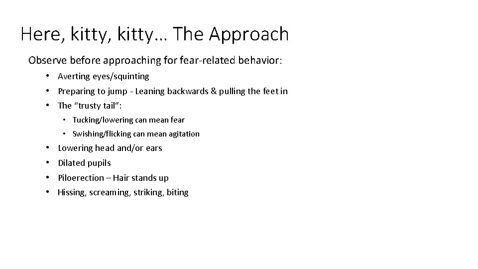 Here, kitty… The Approach Observe before approaching for fear-related behavior: • Averting eyes/squinting •