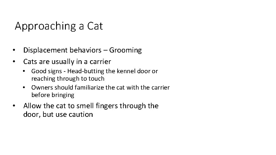 5 Approaching a Cat • Displacement behaviors – Grooming • Cats are usually in