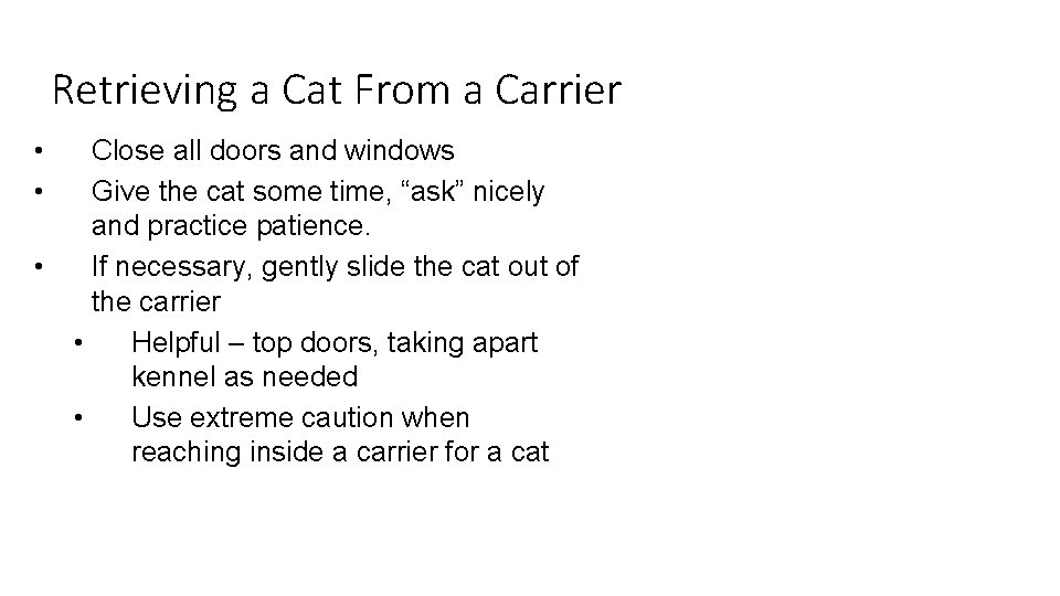 Retrieving a Cat From a Carrier • • • Close all doors and windows