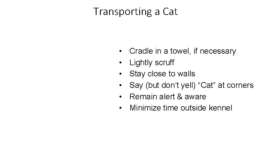 Transporting a Cat • • • 9 Cradle in a towel, if necessary Lightly