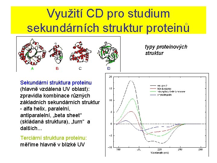Využití CD pro studium sekundárních struktur proteinů typy proteinových struktur Sekundární struktura proteinu (hlavně