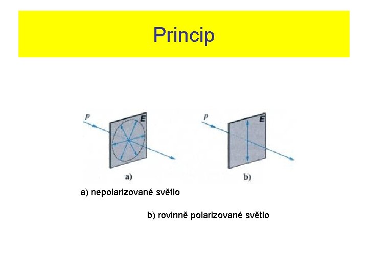 Princip a) nepolarizované světlo b) rovinně polarizované světlo 