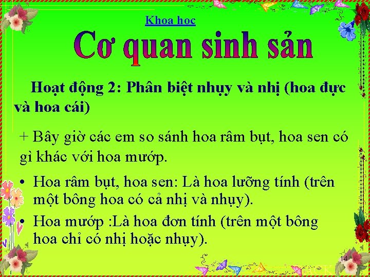 Khoa học Hoạt động 2: Phân biệt nhụy và nhị (hoa đực và hoa