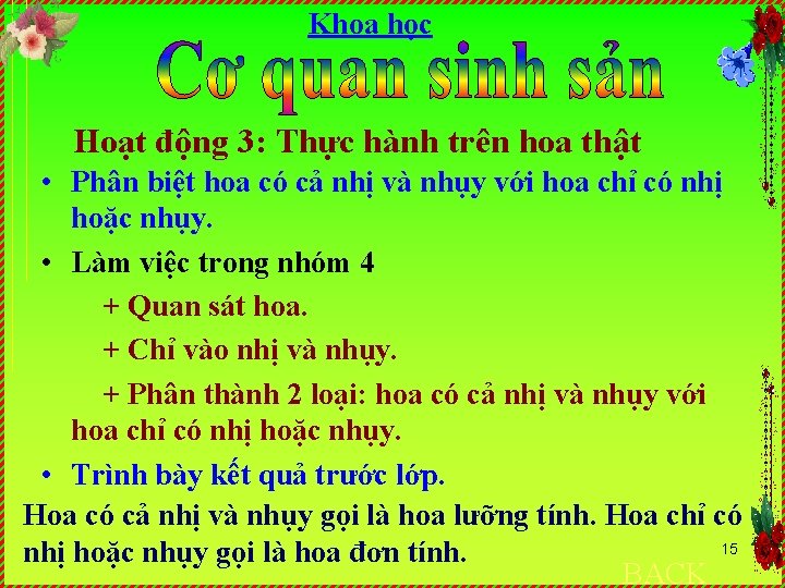 Khoa học Hoạt động 3: Thực hành trên hoa thật • Phân biệt hoa