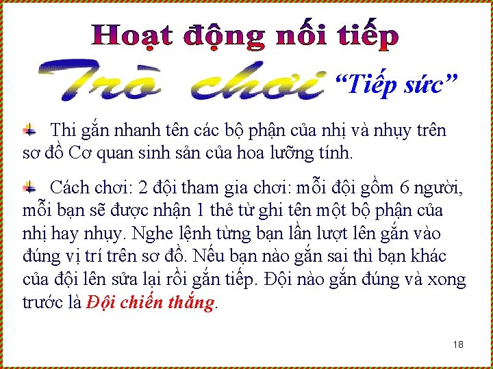 “Tiếp sức” Thi gắn nhanh tên các bộ phận của nhị và nhụy trên