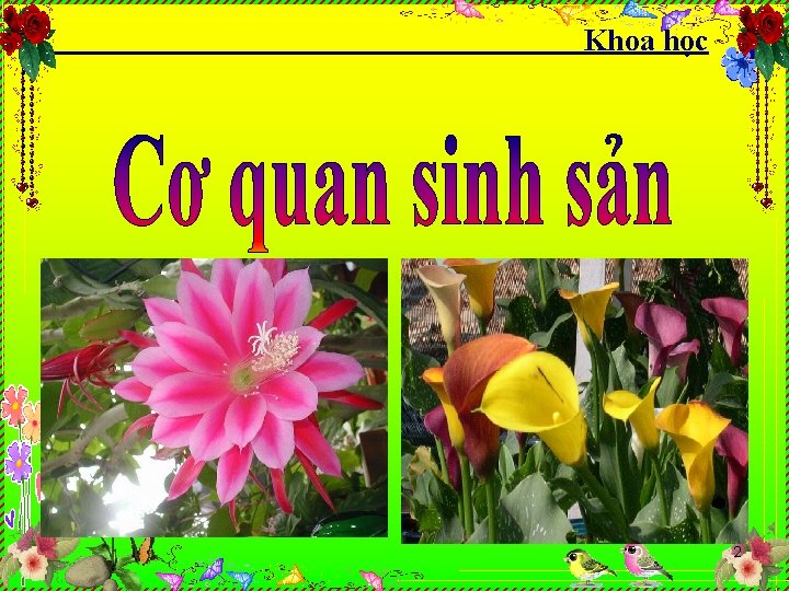 Khoa học 2 