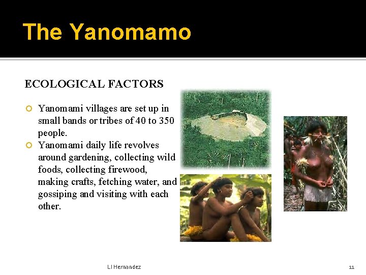 The Yanomamo ECOLOGICAL FACTORS Yanomami villages are set up in small bands or tribes