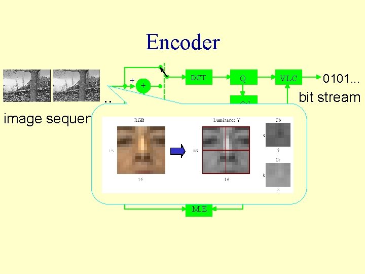 Encoder + . . image sequence + DCT Q - Q-1 Intra / Inter