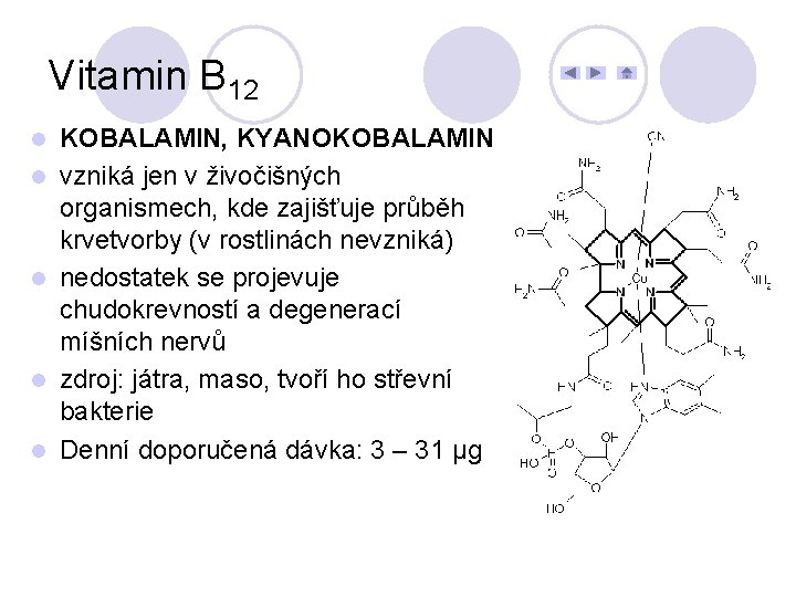 Vitamin B 12 l l l KOBALAMIN, KYANOKOBALAMIN vzniká jen v živočišných organismech, kde